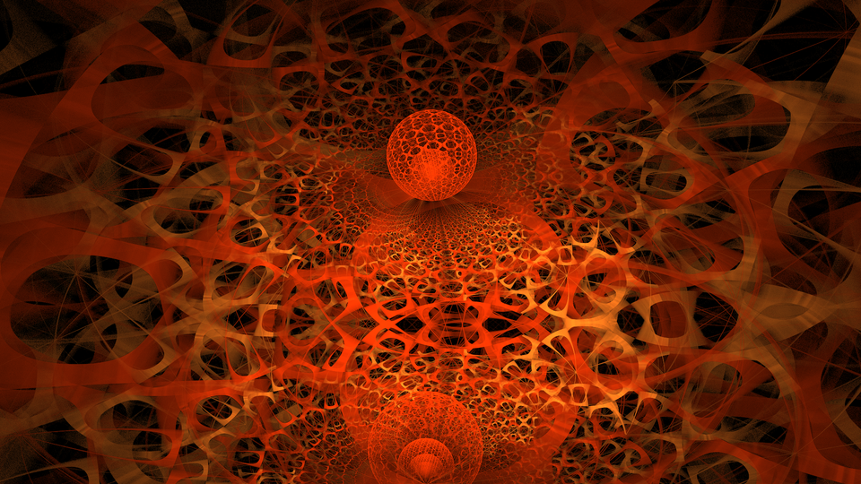 Consciousness
